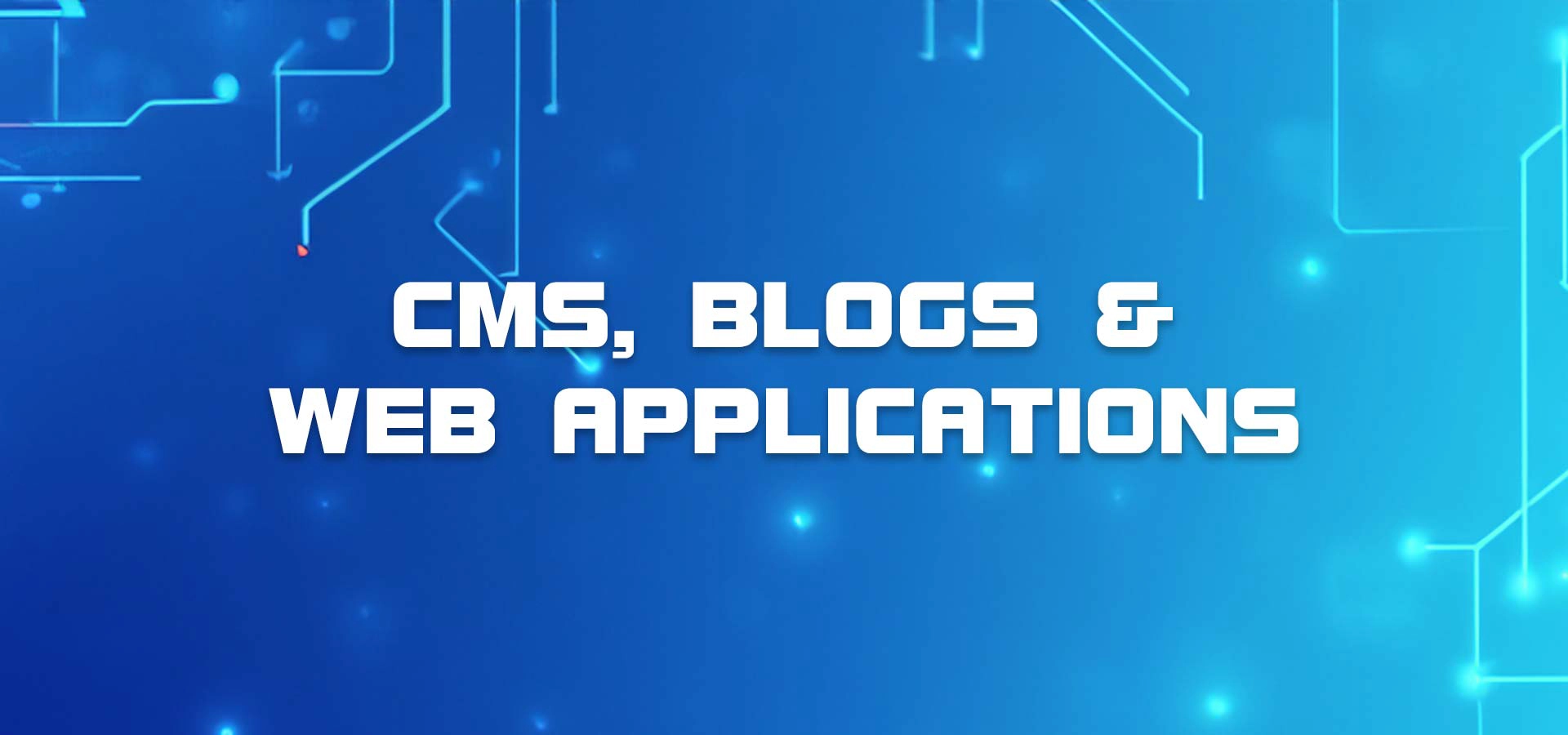 Bruno Opitz CMS, Blogs And Portals