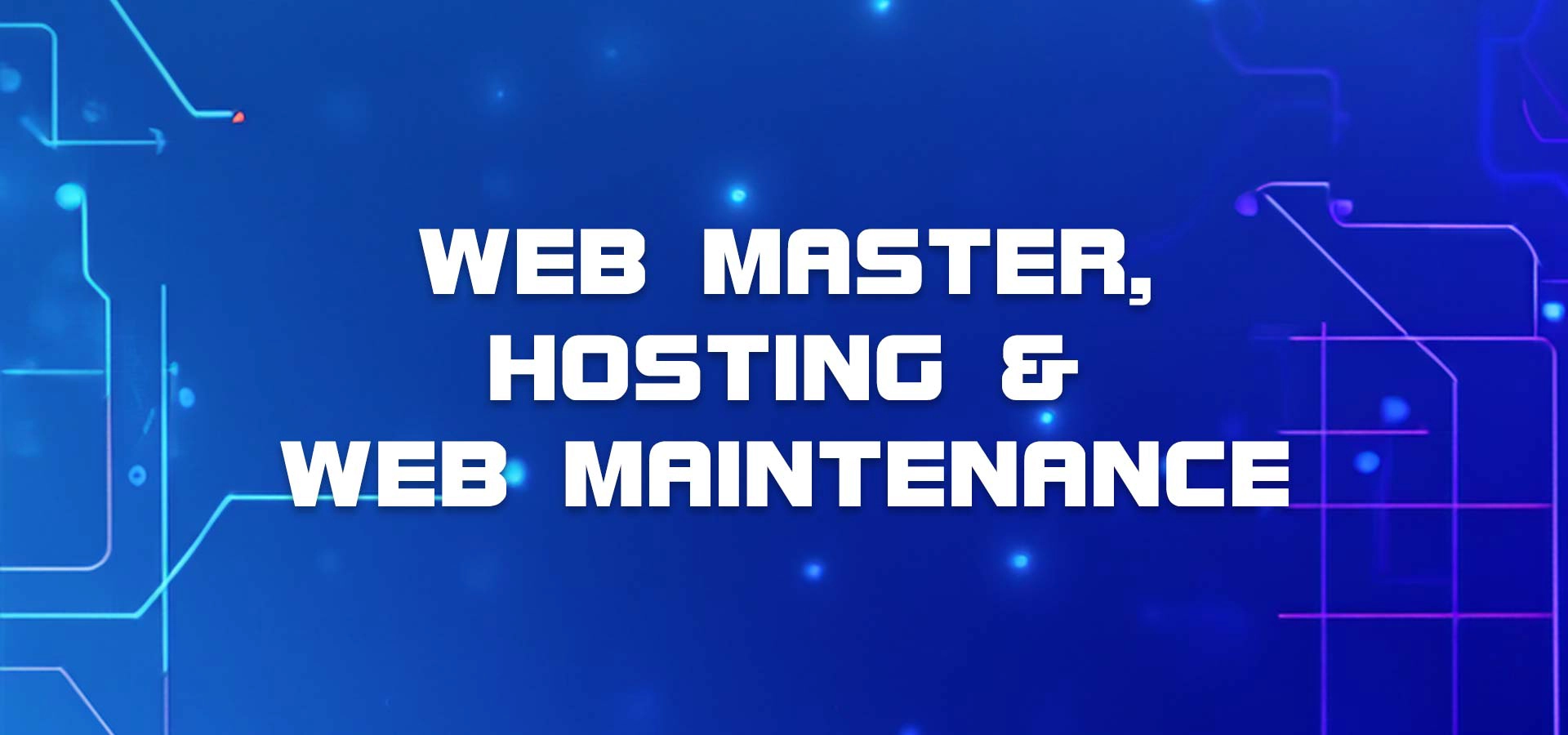 Bruno Opitz Website Maintenance